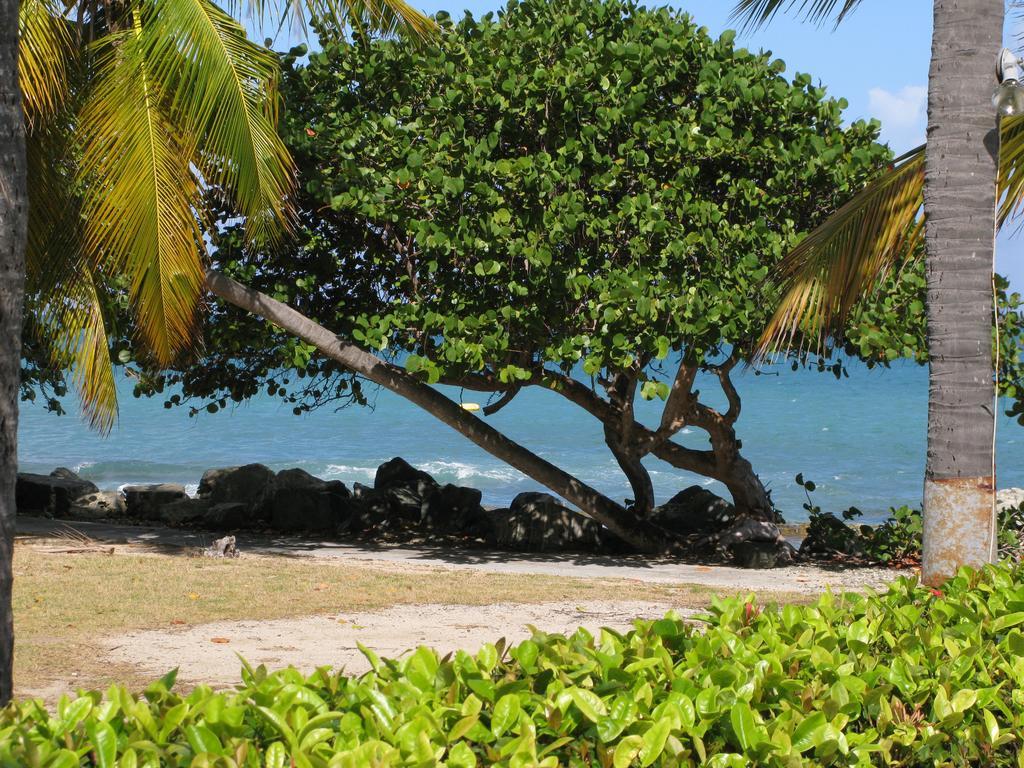 Tamarind Reef Resort Spa & Marina Christiansted Exterior foto