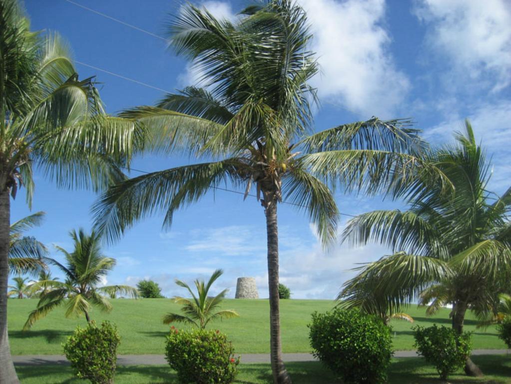 Tamarind Reef Resort Spa & Marina Christiansted Exterior foto