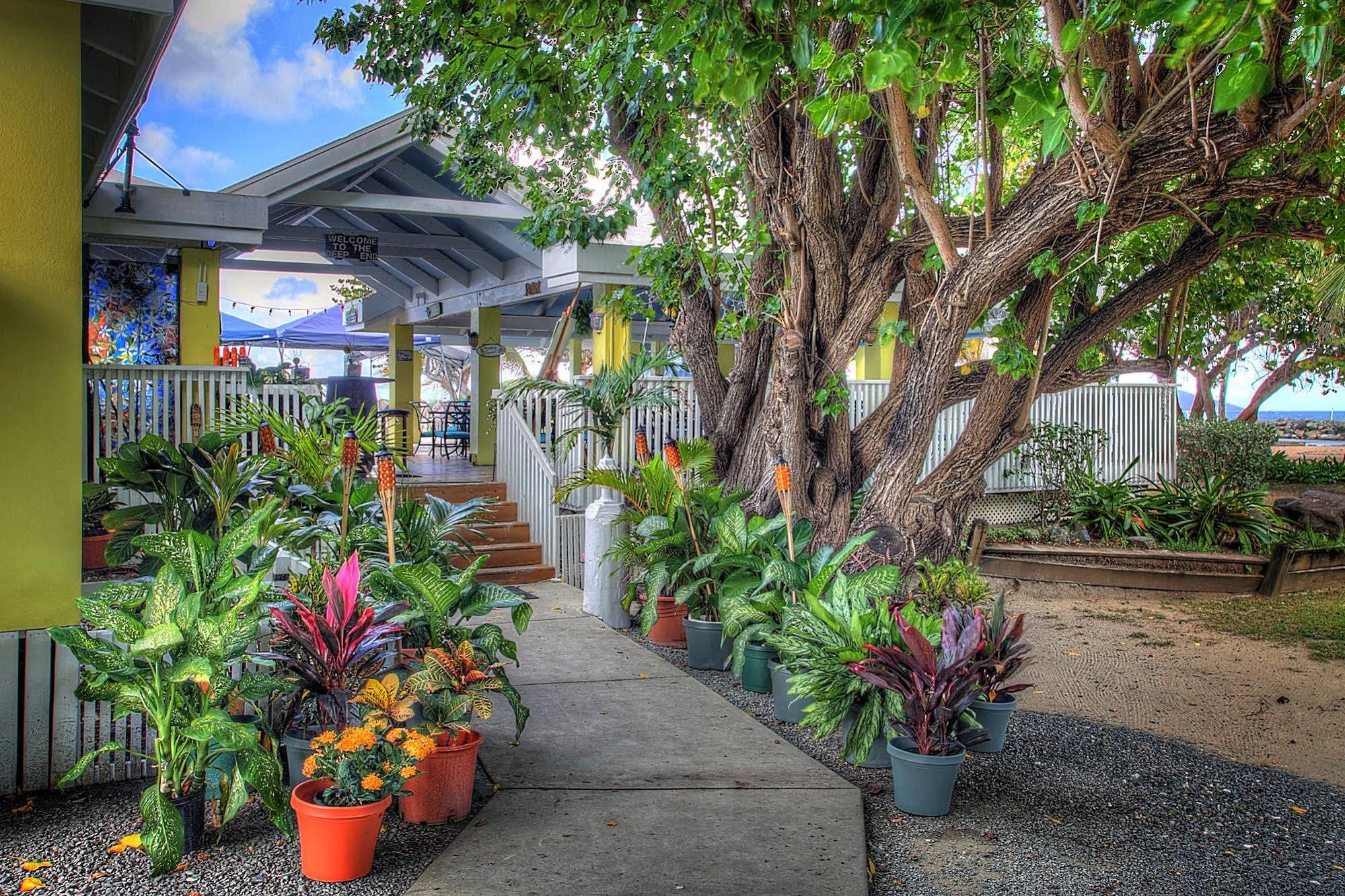 Tamarind Reef Resort Spa & Marina Christiansted Exterior foto